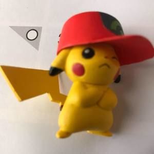 Meet your Posher, Risa sally